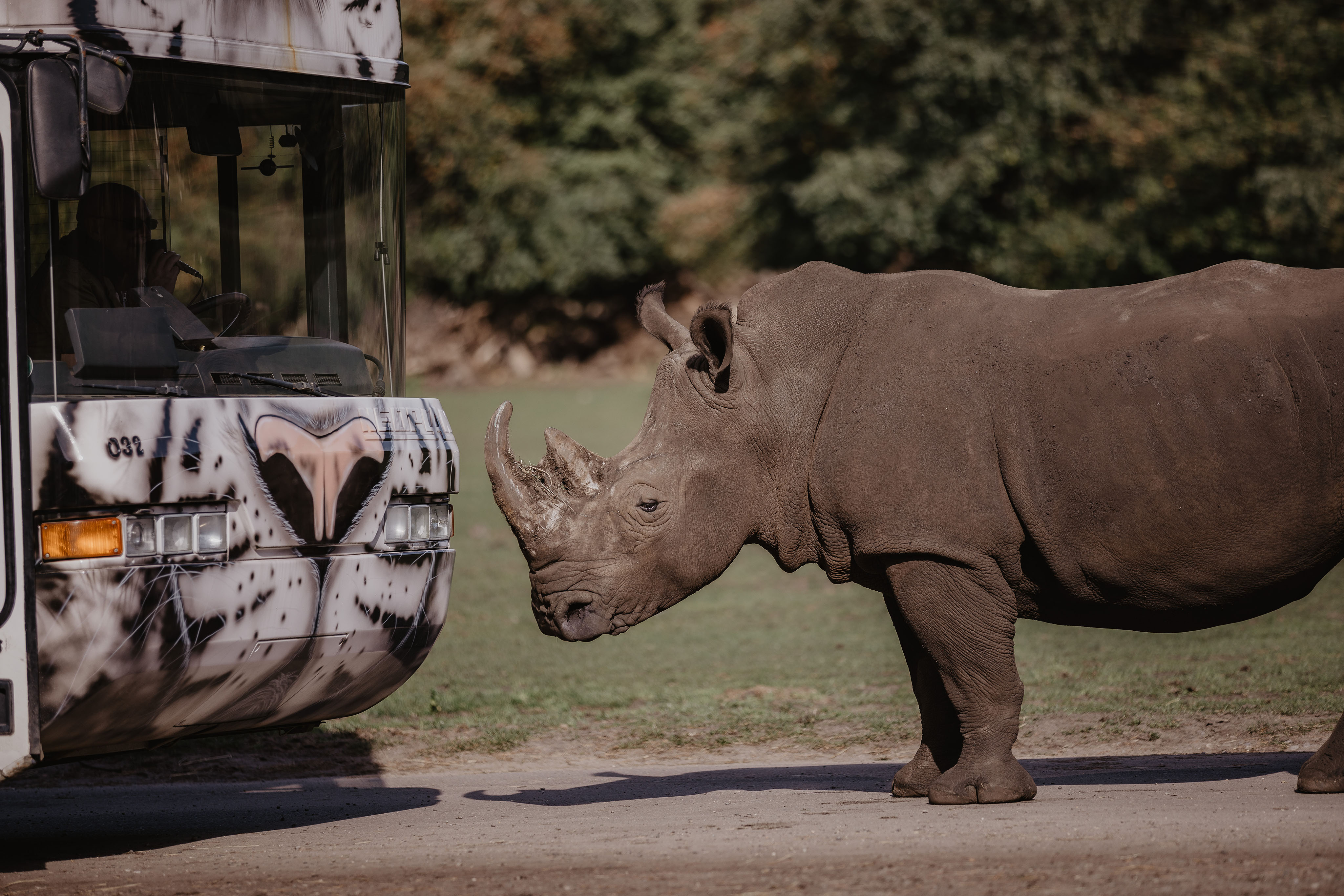 9783986790134_innenansicht_01 9783986790134_innenansicht_01.jpg