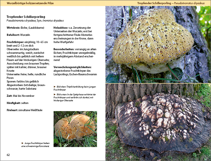 9783934947450_innenansicht_01 9783934947450_innenansicht_01.jpg