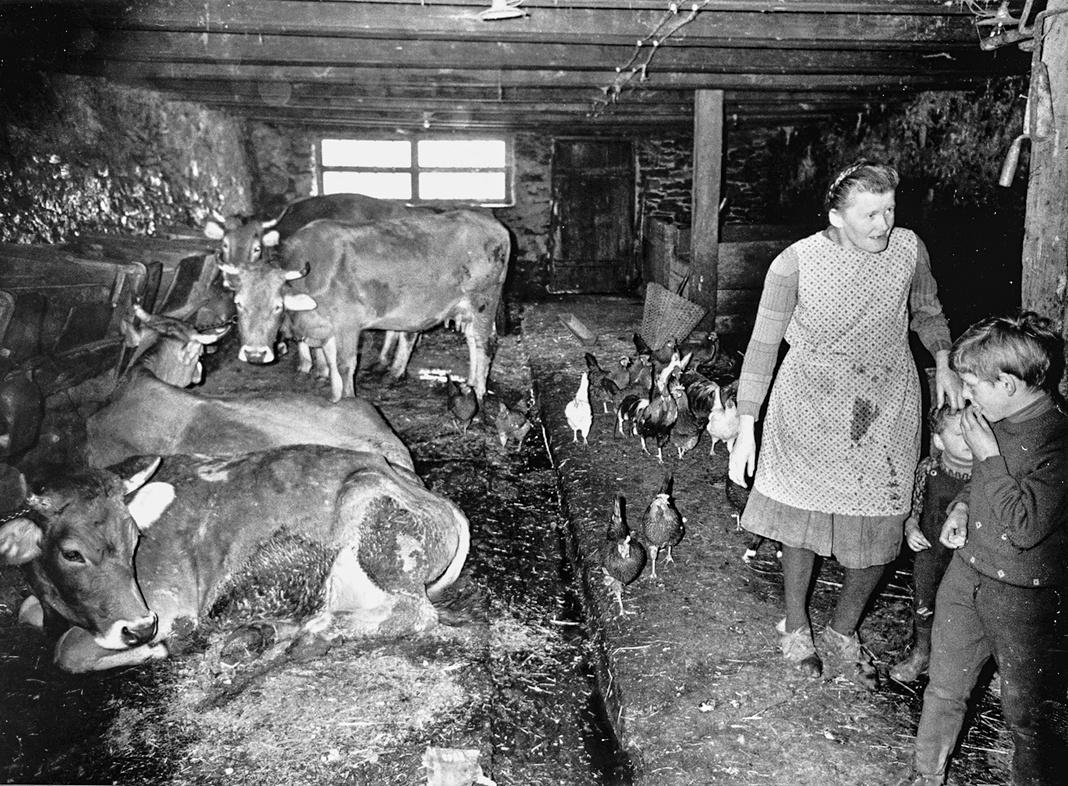 9788868396947_innenansicht_01 9788868396947_innenansicht_01.jpg