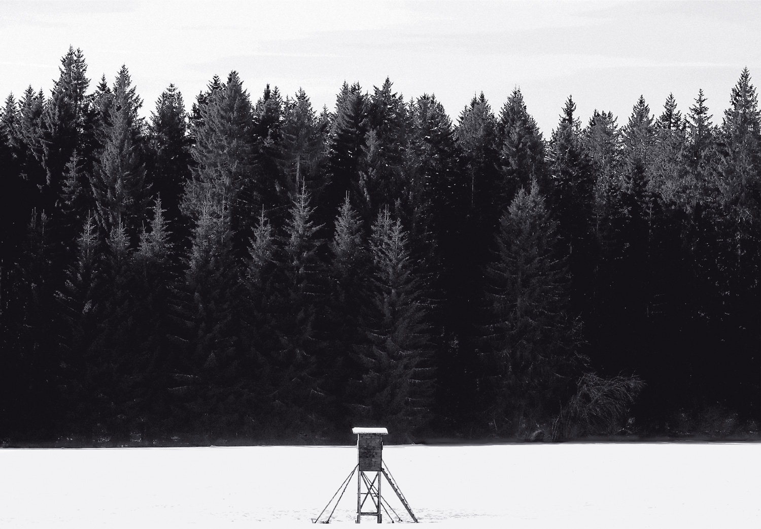 9783949070310_innenansicht_05 9783949070310_innenansicht_05.jpg