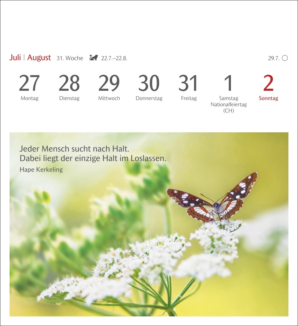 9783840036071_innenansicht_12.jpg
