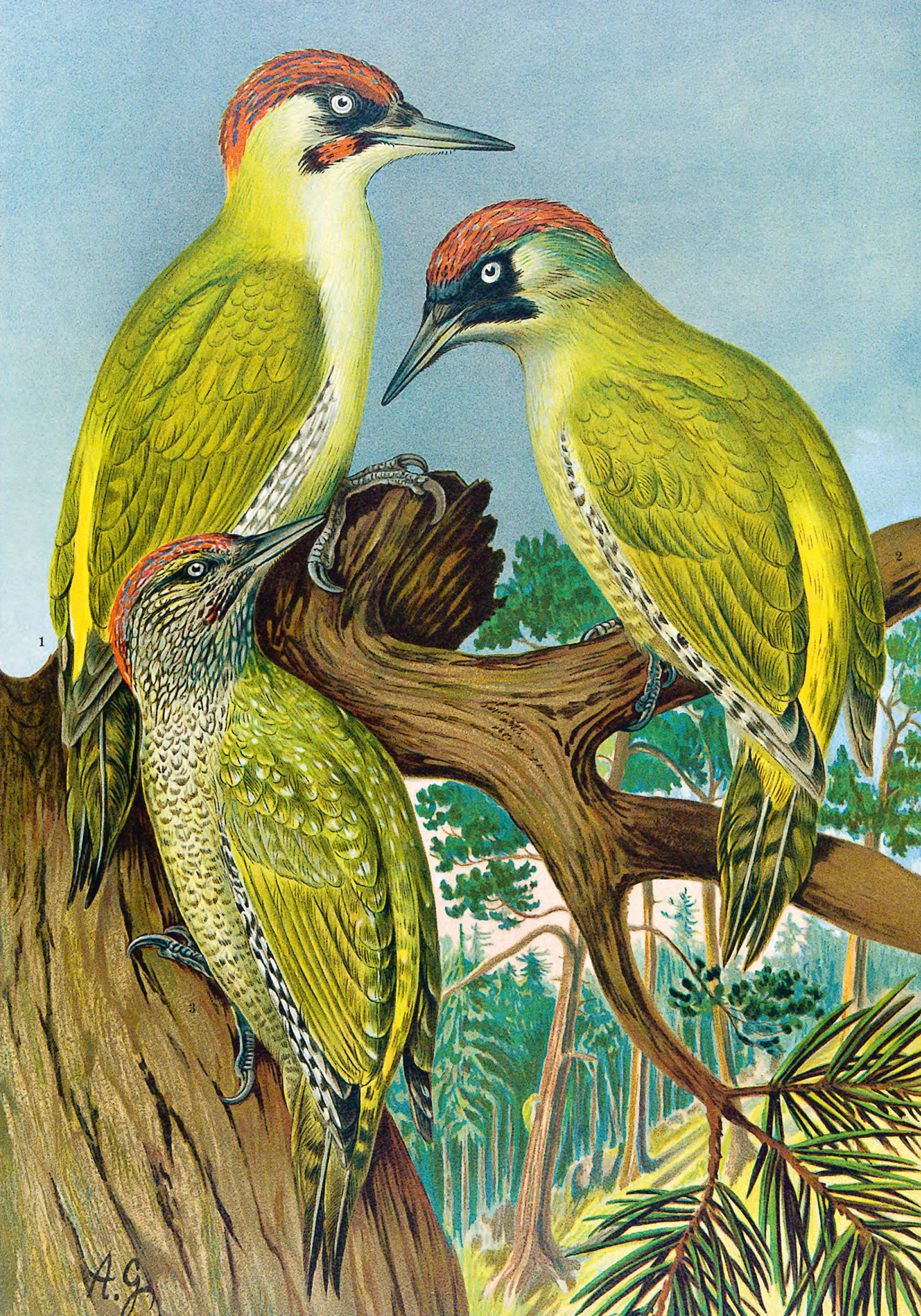 9783968492001_innenansicht_05 9783968492001_innenansicht_05.jpg