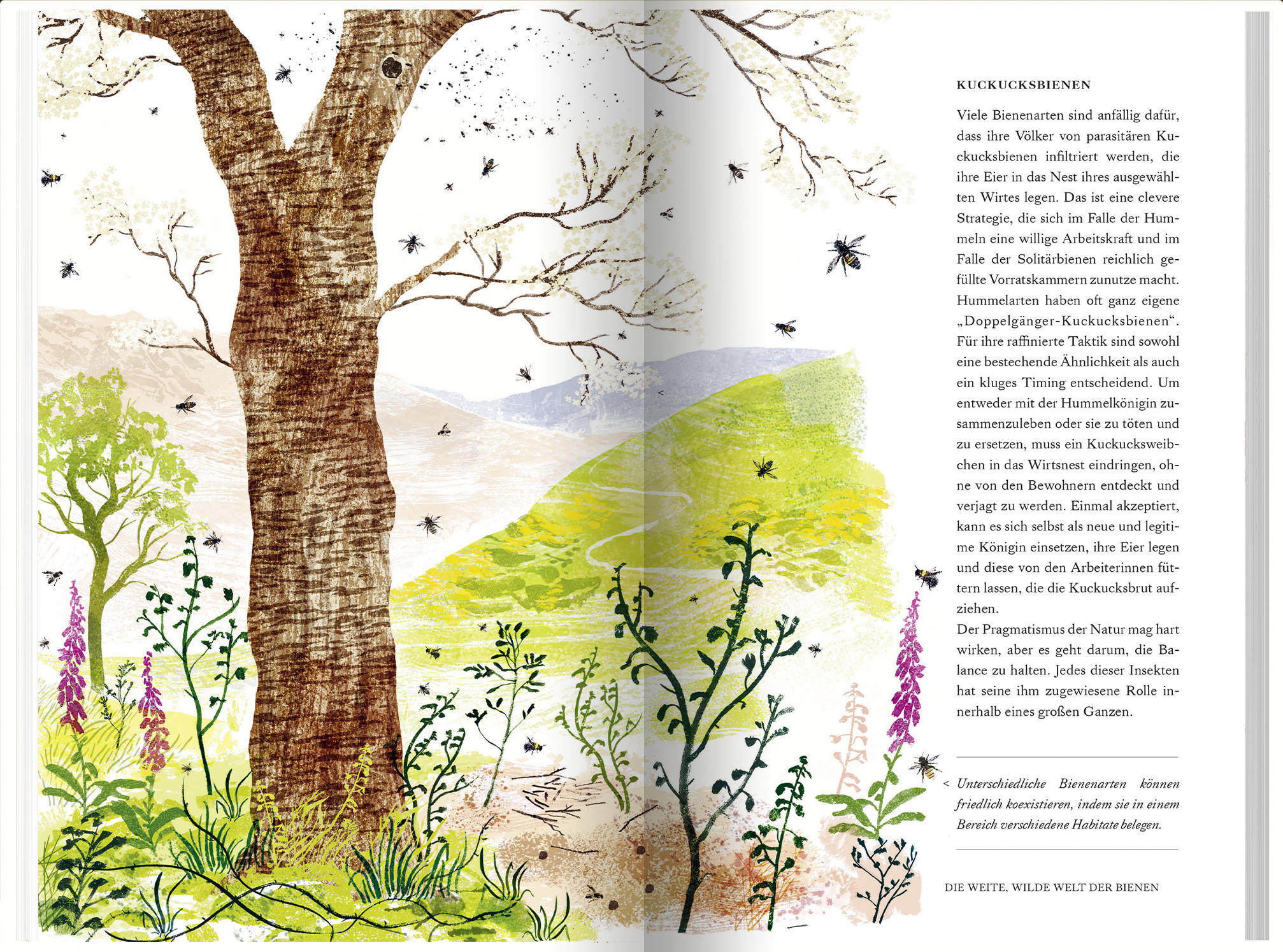 9783784357935_innenansicht_01 9783784357935_innenansicht_01.jpg