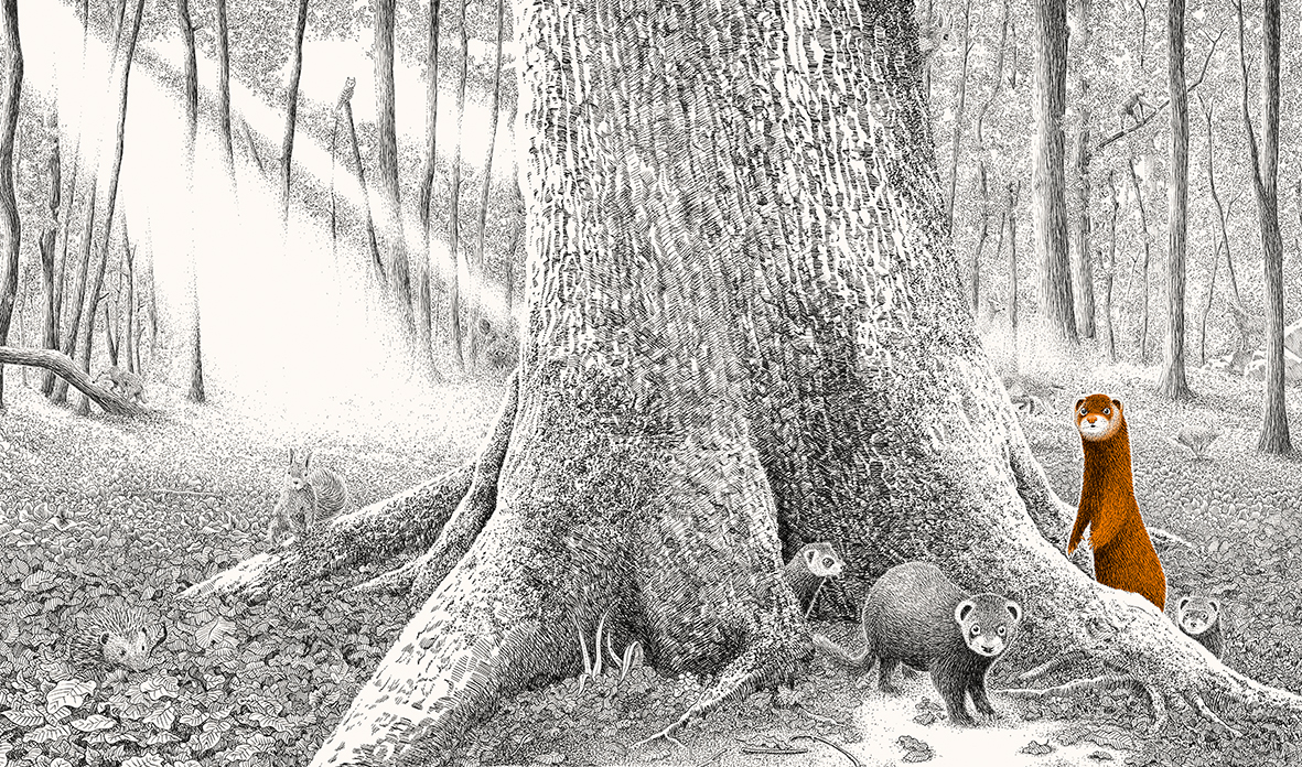 9783772531989_innenansicht_02 9783772531989_innenansicht_02.jpg