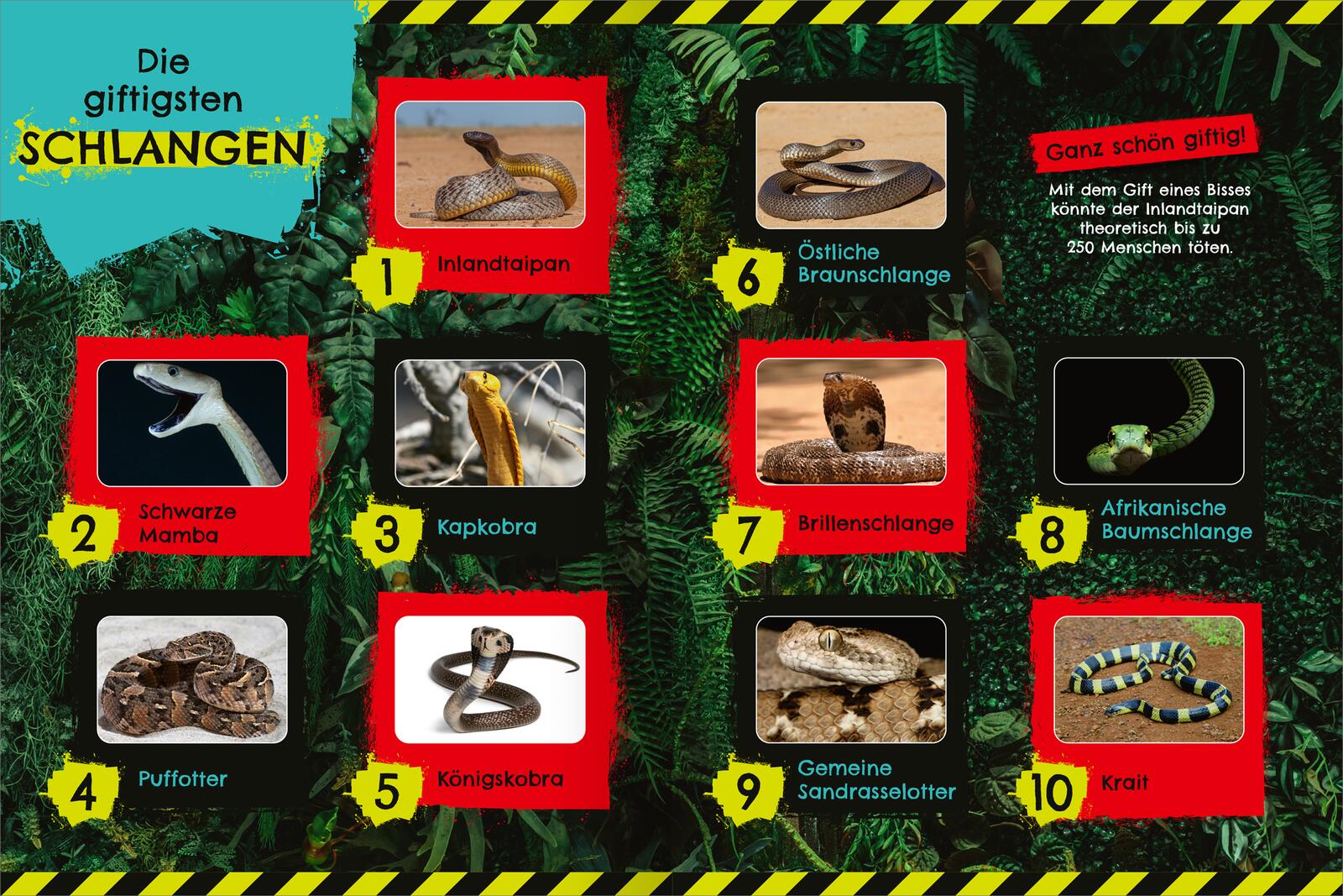 9783845859231_innenansicht_02 9783845859231_innenansicht_02.jpg