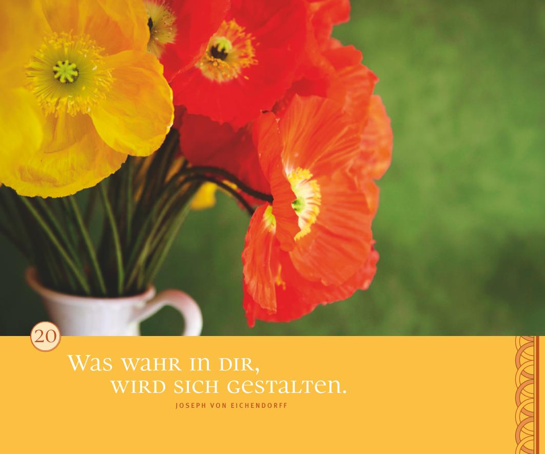 9783833823527_innenansicht_06 9783833823527_innenansicht_06.jpg