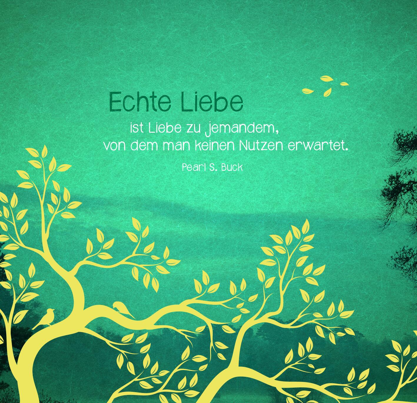 9783845849638_innenansicht_04.jpg