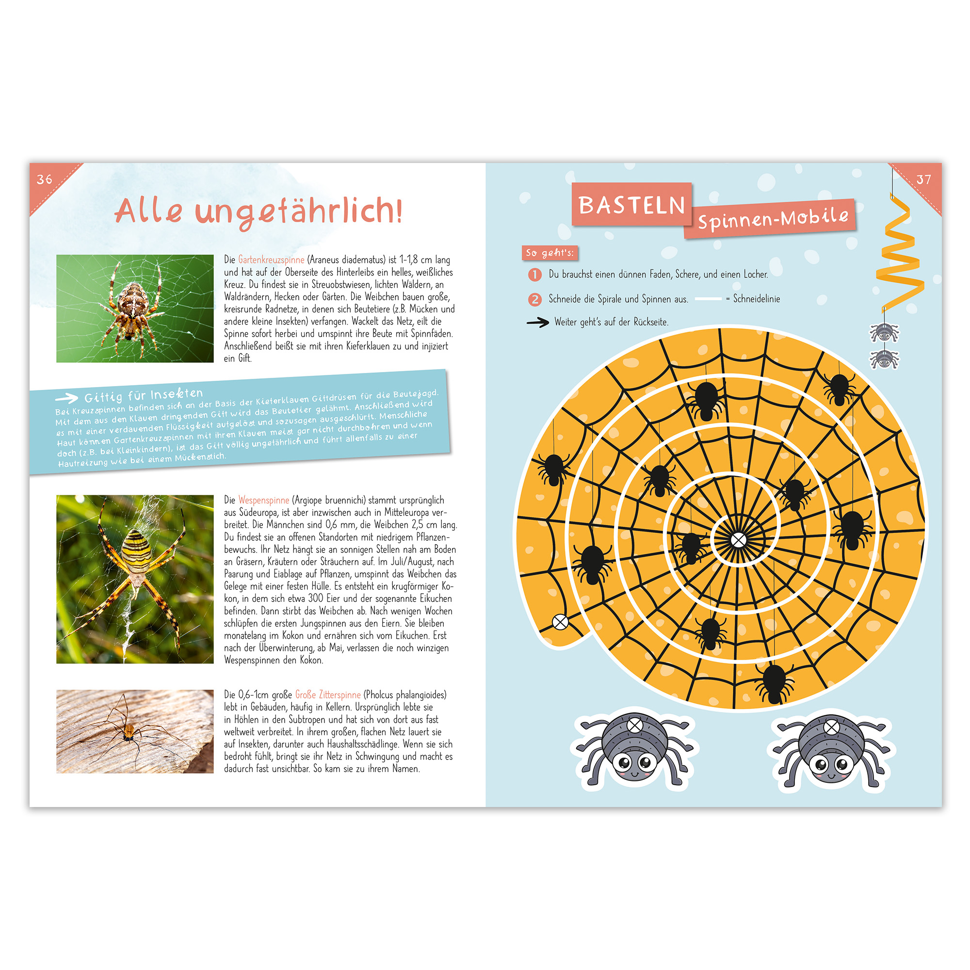 9783963474224_innenansicht_01.jpg
