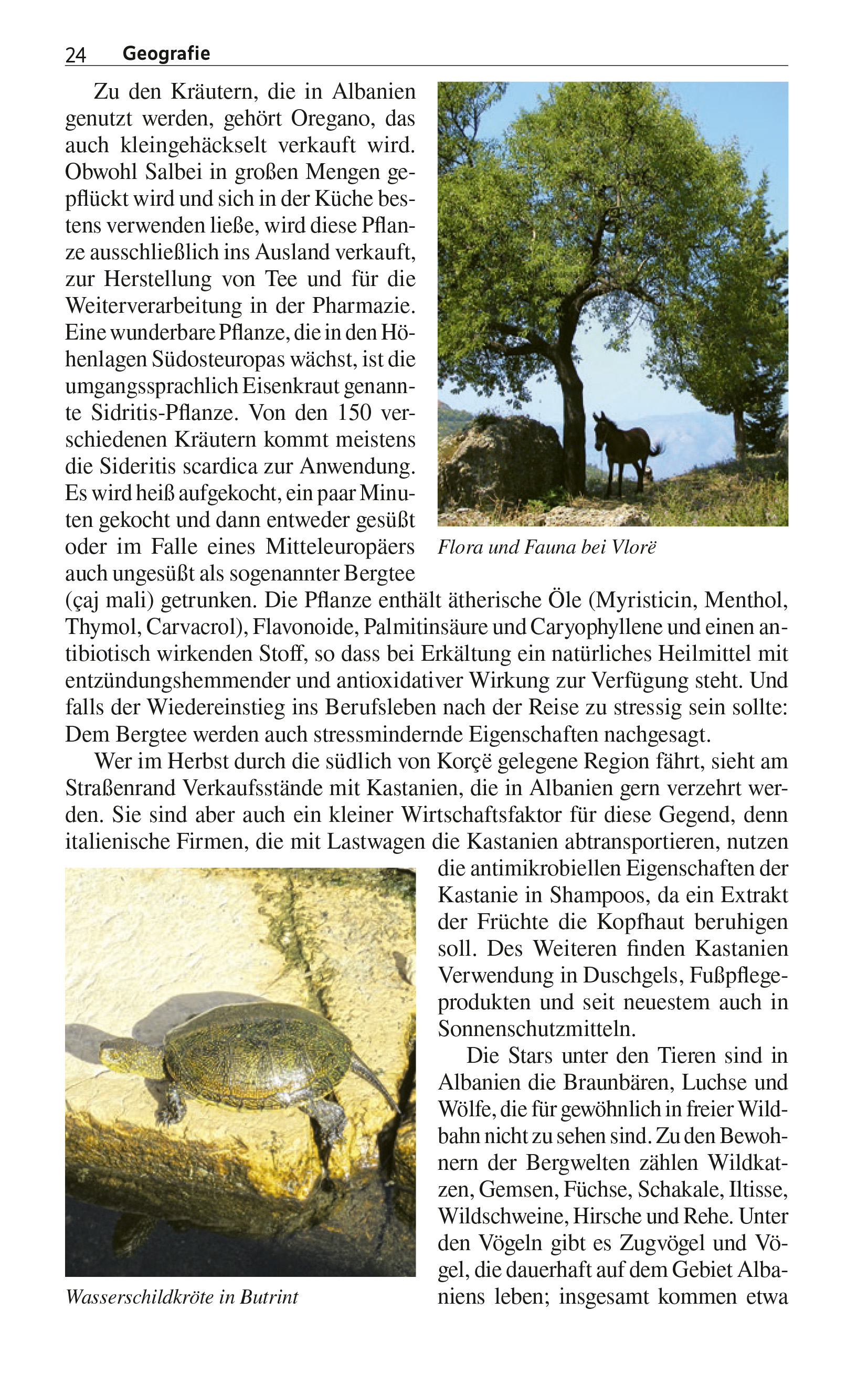 9783897946941_innenansicht_15.jpg
