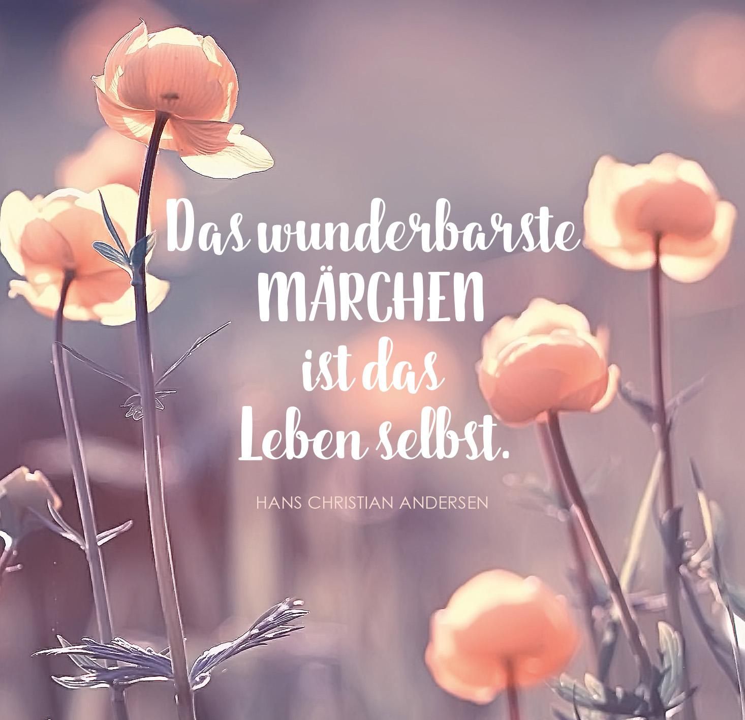 9783845838779_innenansicht_05.jpg