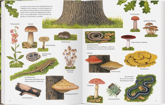 9783836956802_innenansicht_02 9783836956802_innenansicht_02.jpg