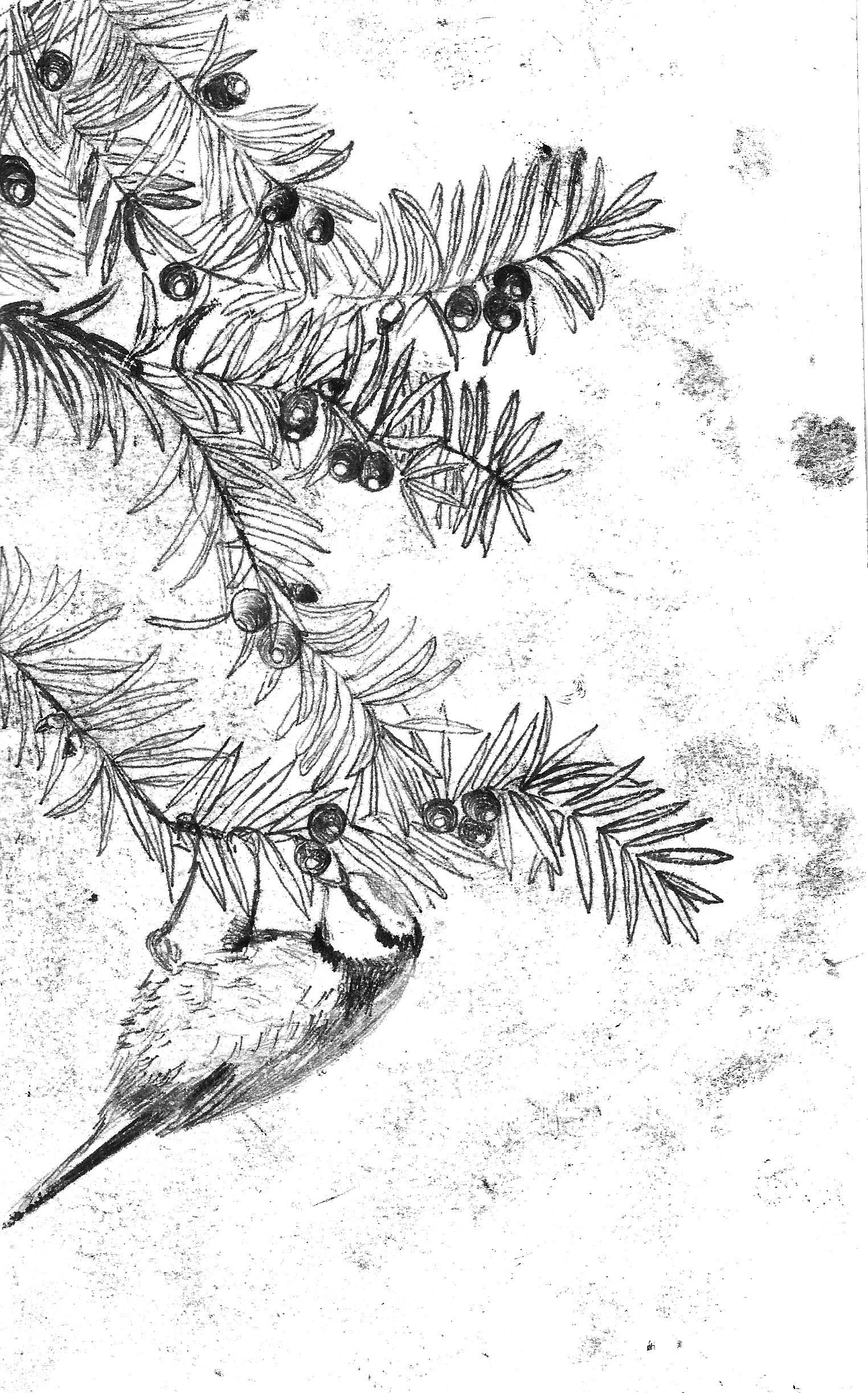 9783990591307_produktbild_04 9783990591307_produktbild_04.jpg