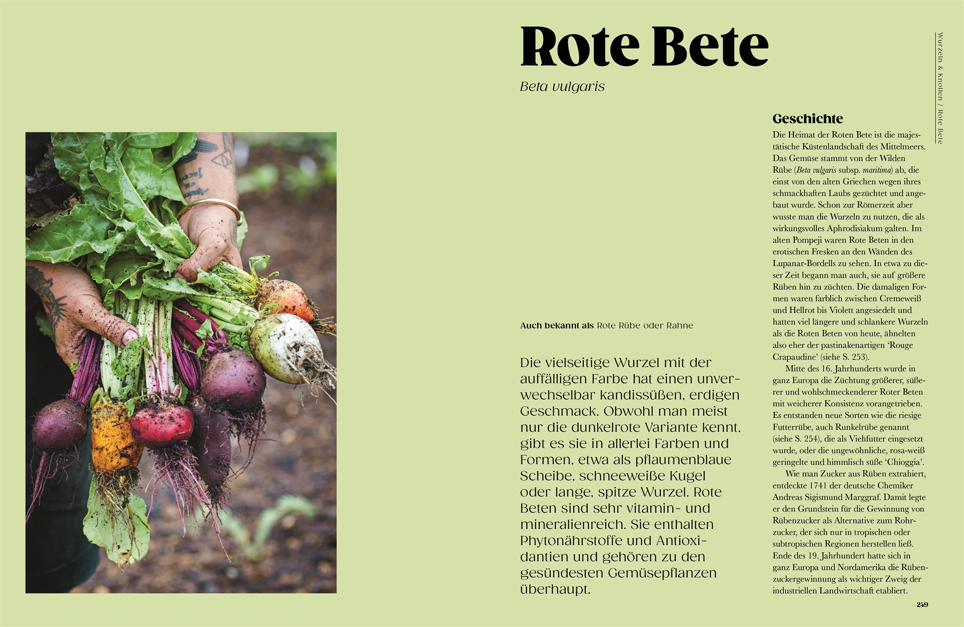 9783831051434_innenansicht_06 9783831051434_innenansicht_06.jpg