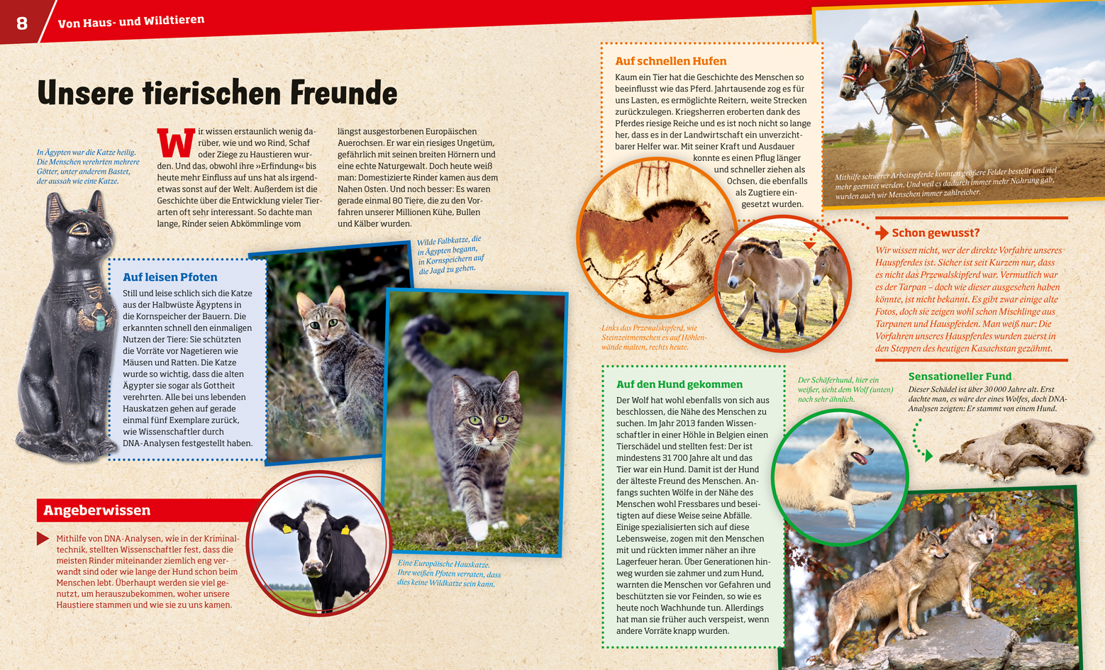 9783788620936_innenansicht_04 9783788620936_innenansicht_04.jpg