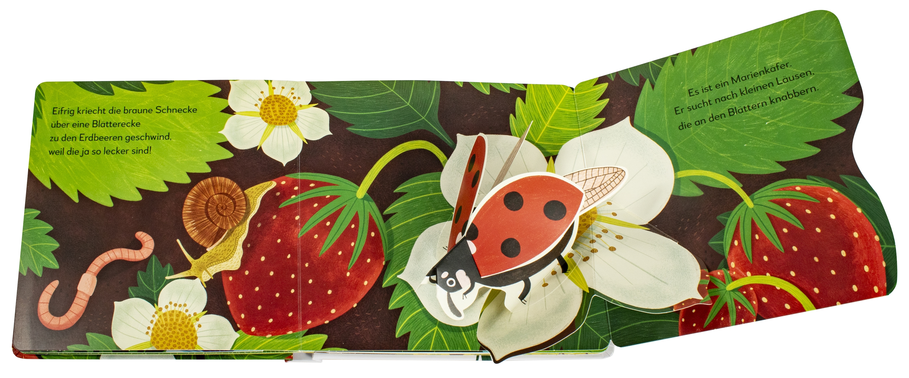 9783831048786_innenansicht_02 9783831048786_innenansicht_02.jpg