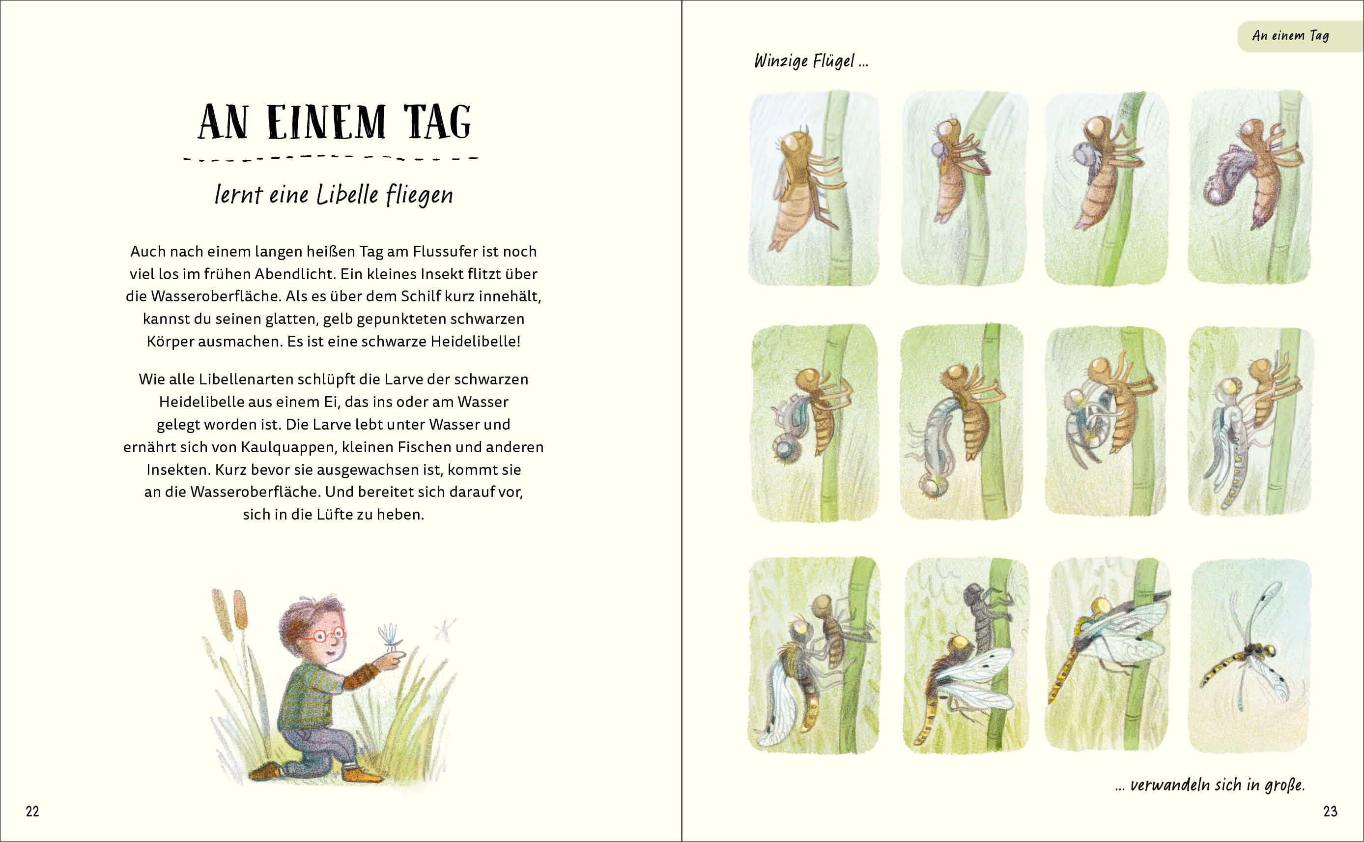 9783791375946_innenansicht_04 9783791375946_innenansicht_04.jpg