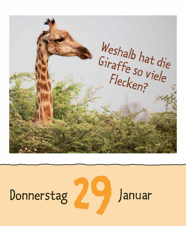 9783731889199_innenansicht_02.jpg