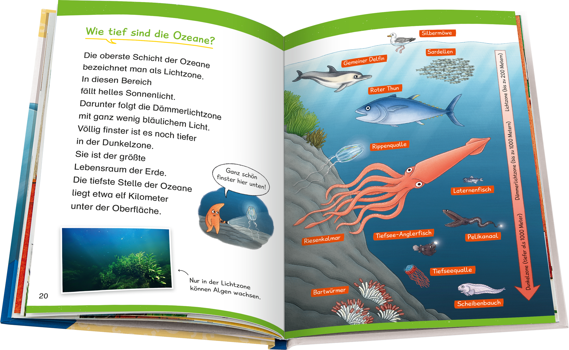 9783473600267_innenansicht_01 9783473600267_innenansicht_01.jpg