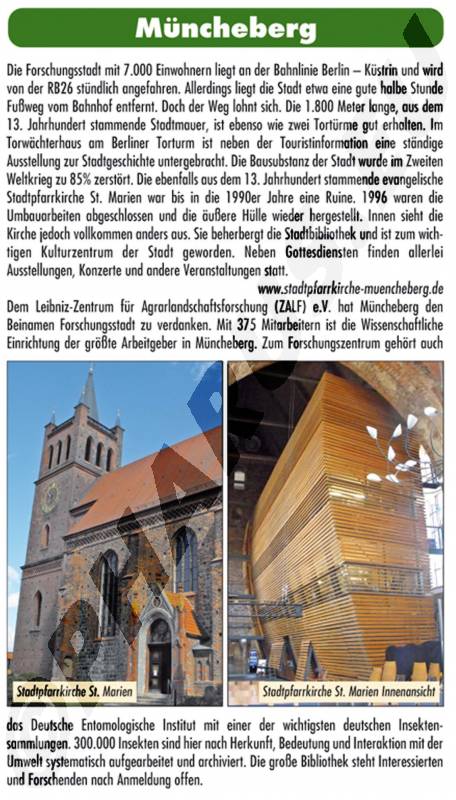 9783865142429_innenansicht_07.jpg