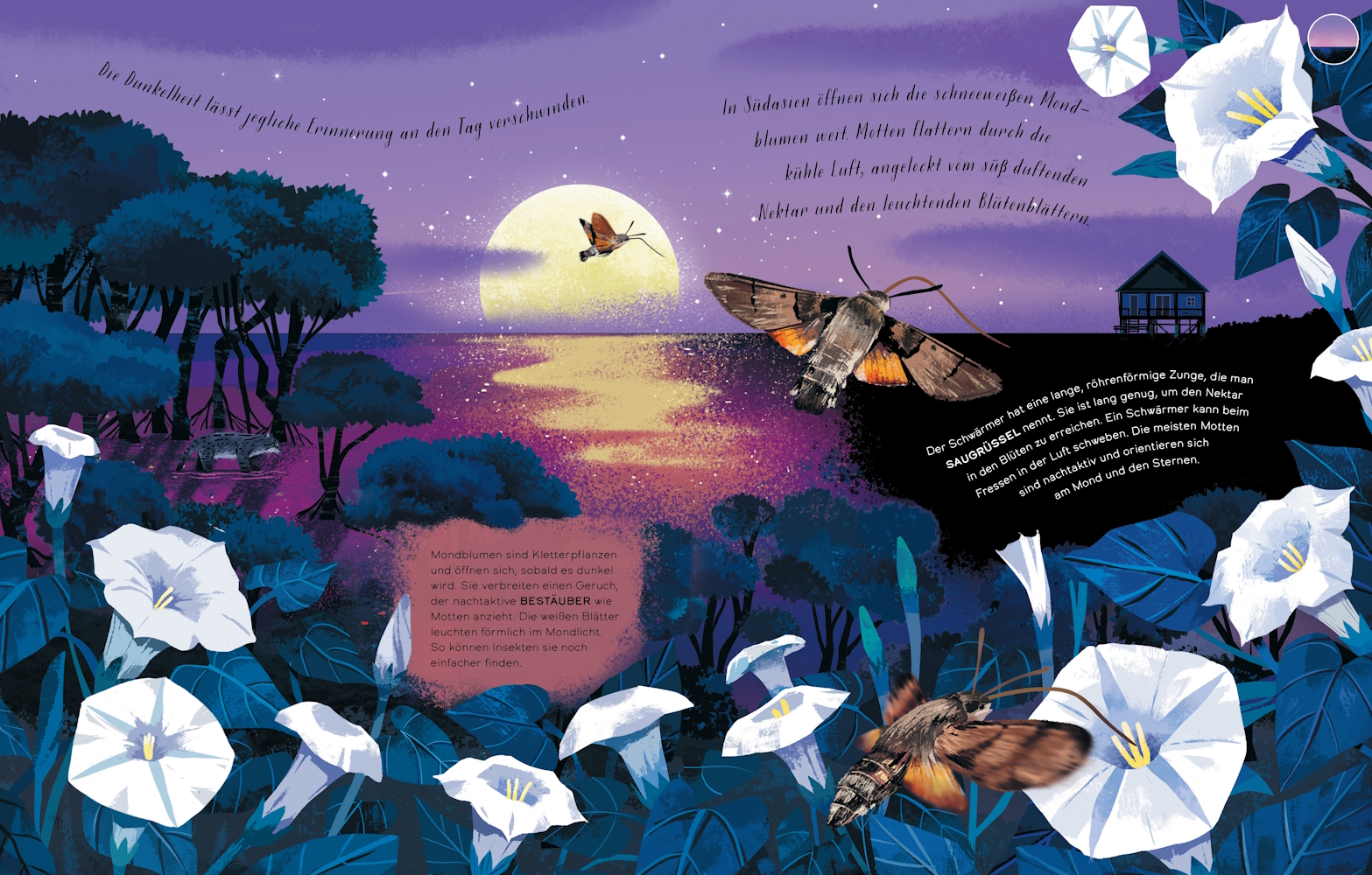 9783957288493_innenansicht_03 9783957288493_innenansicht_03.jpg