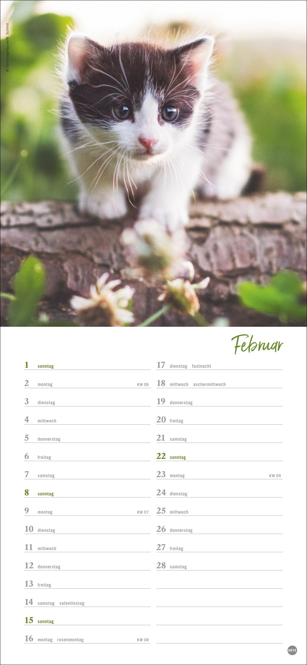 9783756409778_innenansicht_02 9783756409778_innenansicht_02.jpg