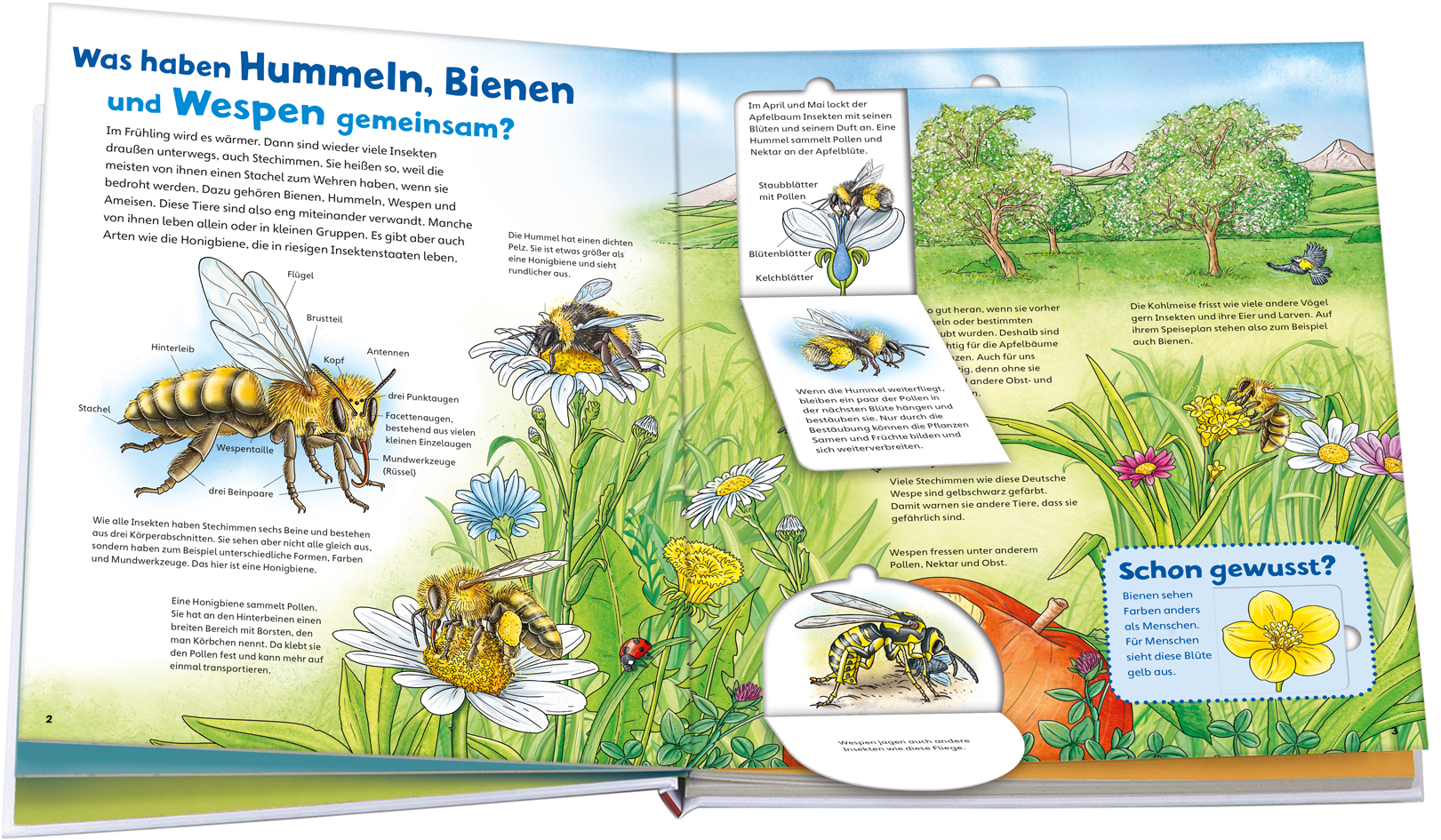 9783788622312_innenansicht_01.jpg