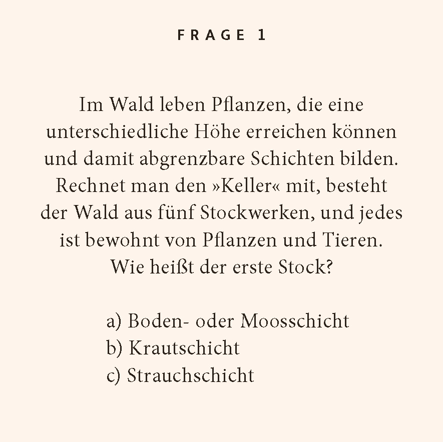 9783899784589_innenansicht_01.jpg