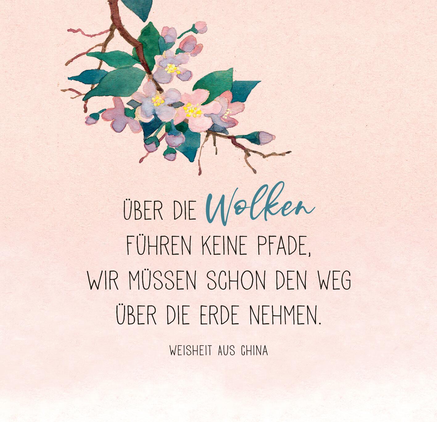 9783845849591_innenansicht_01.jpg