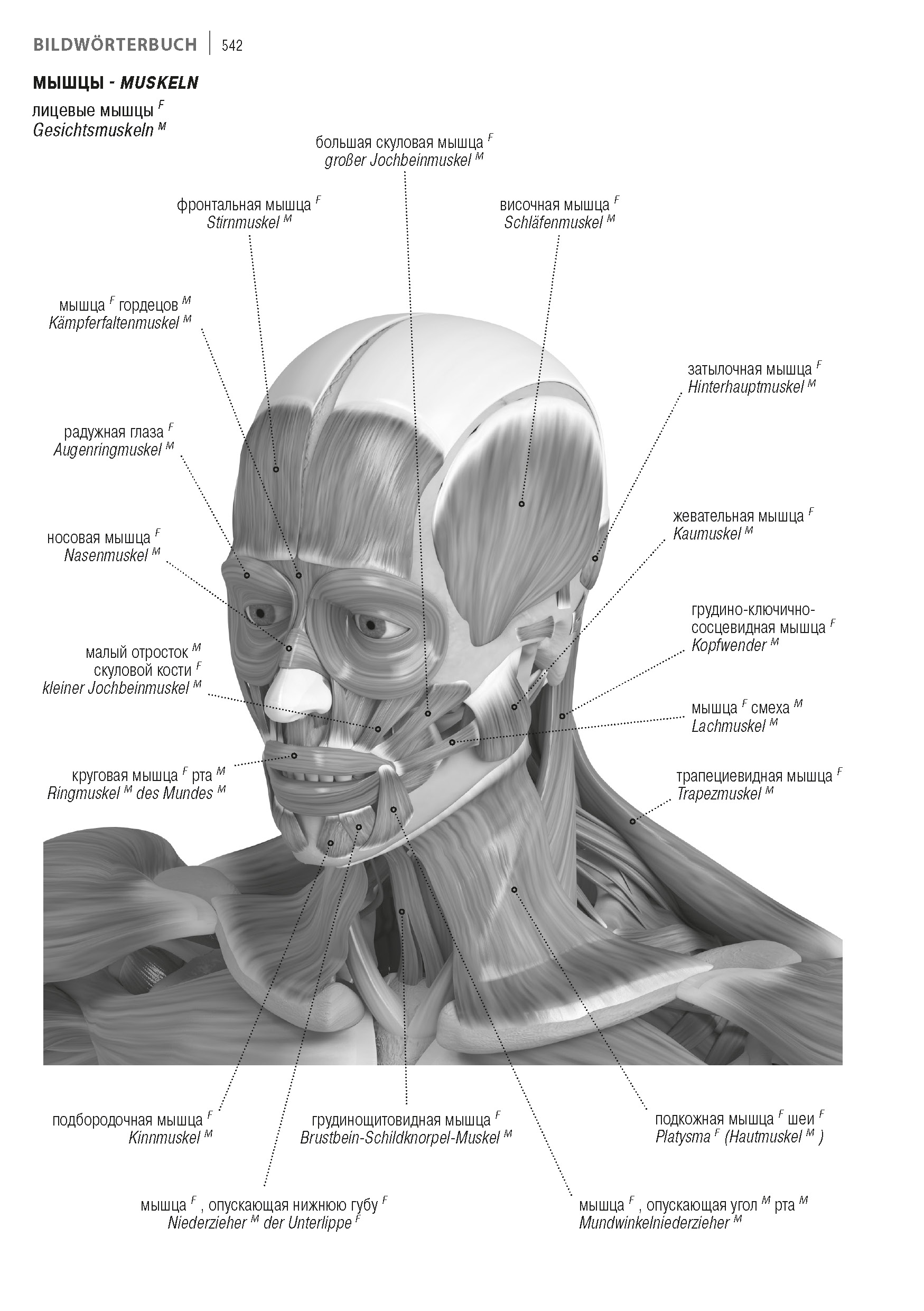 9783898947091_innenansicht_04 9783898947091_innenansicht_04.jpg