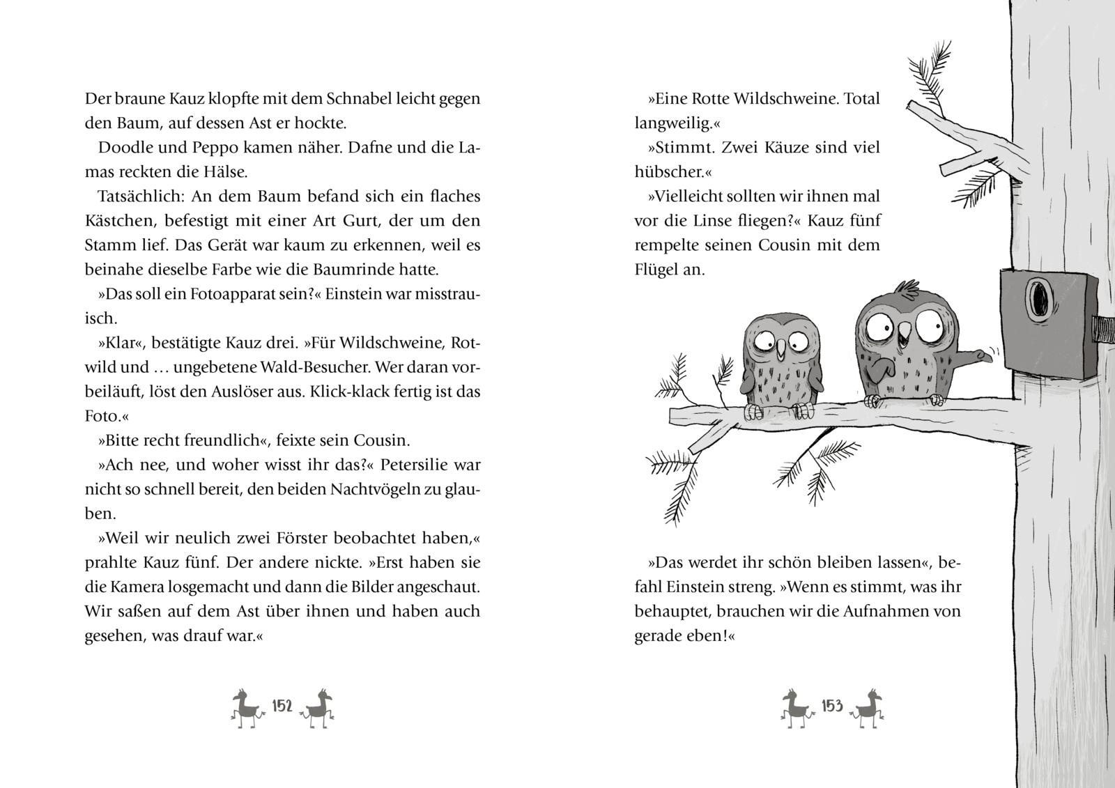 9783522507035_innenansicht_03 9783522507035_innenansicht_03.jpg