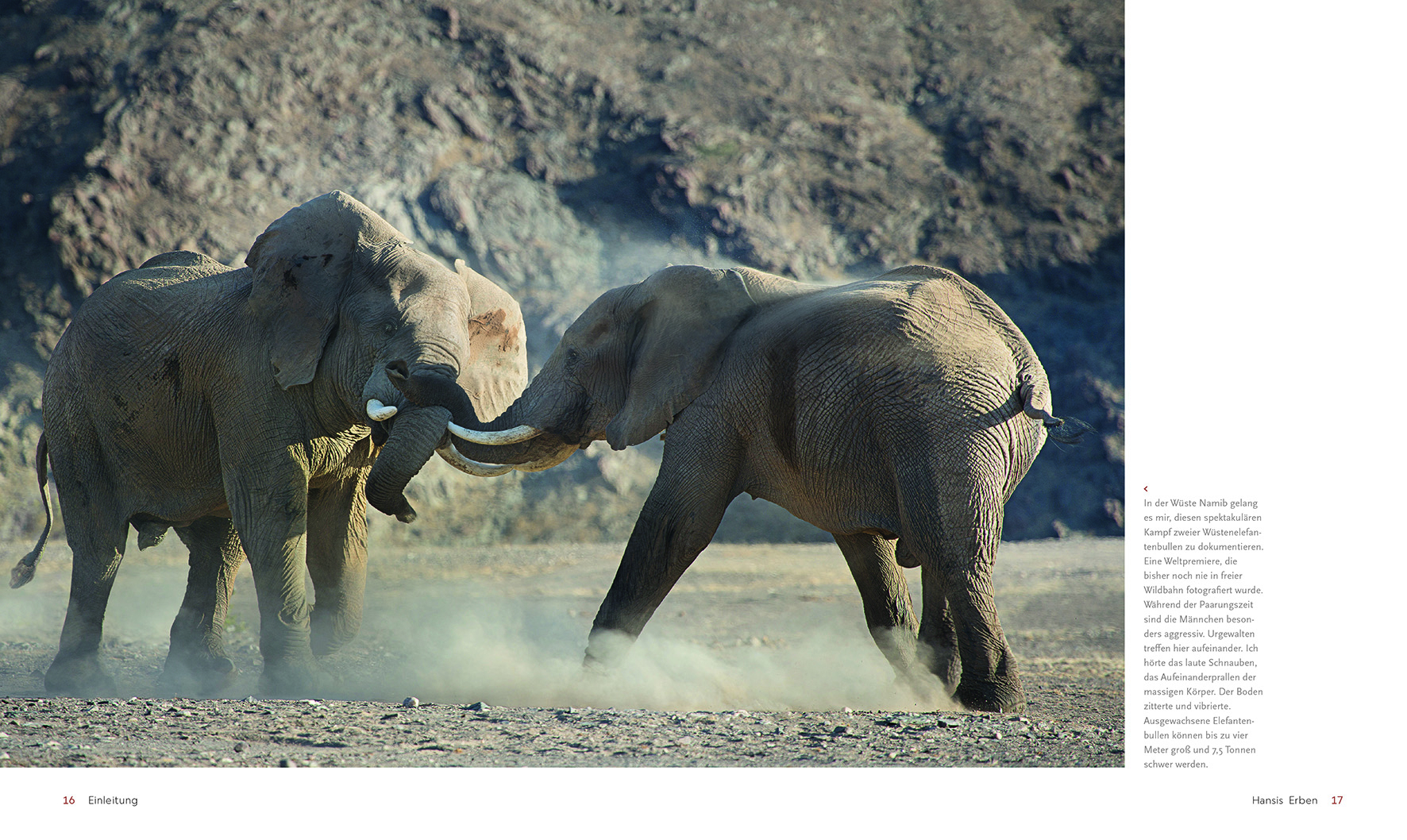 9783866906389_innenansicht_01 9783866906389_innenansicht_01.jpg