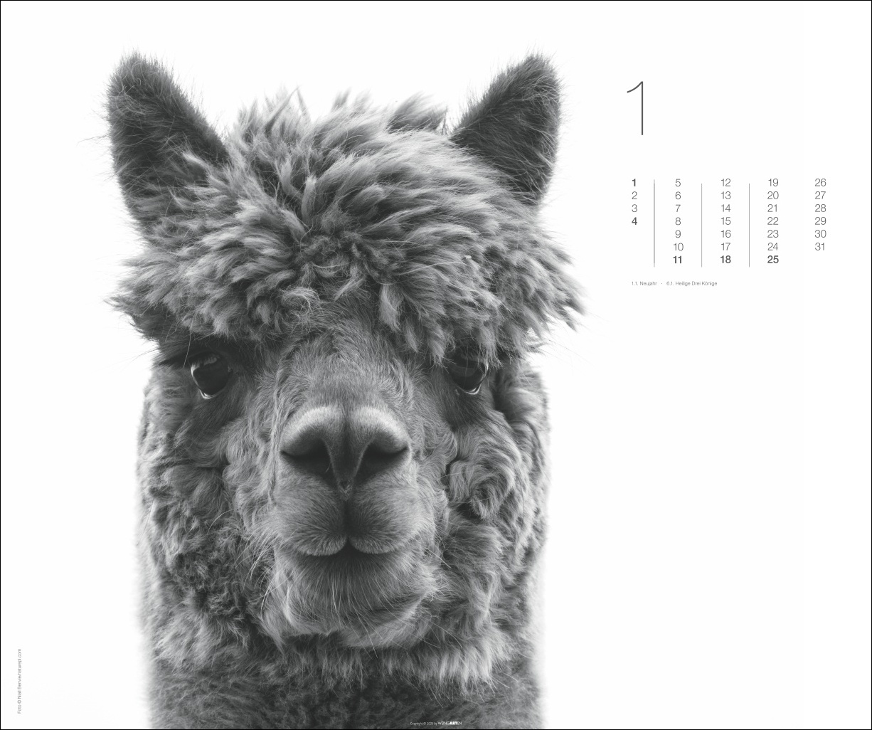 9783839902776_innenansicht_01 9783839902776_innenansicht_01.jpg