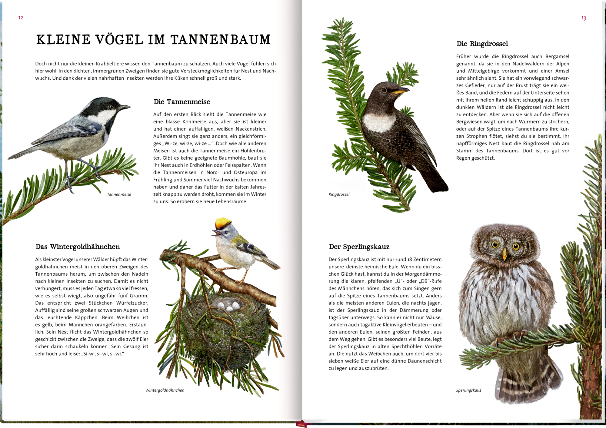 9783649647973_innenansicht_03 9783649647973_innenansicht_03.jpg