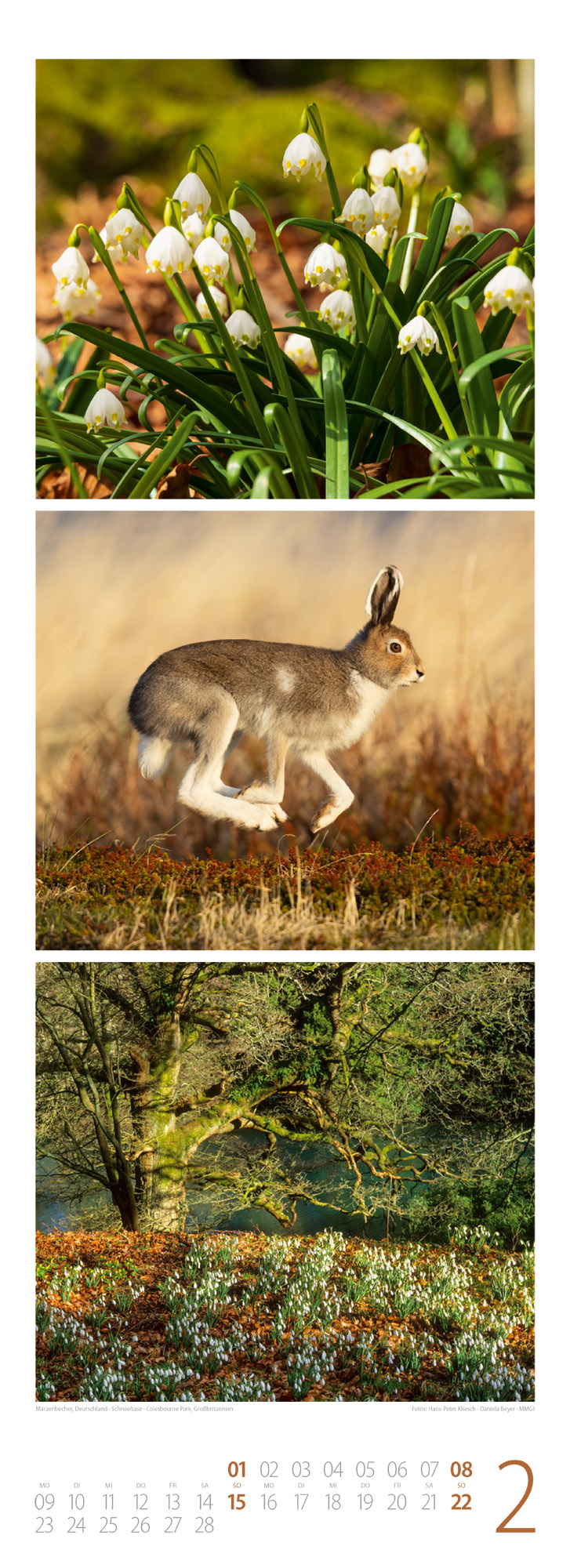 9783838426365_innenansicht_02 9783838426365_innenansicht_02.jpg