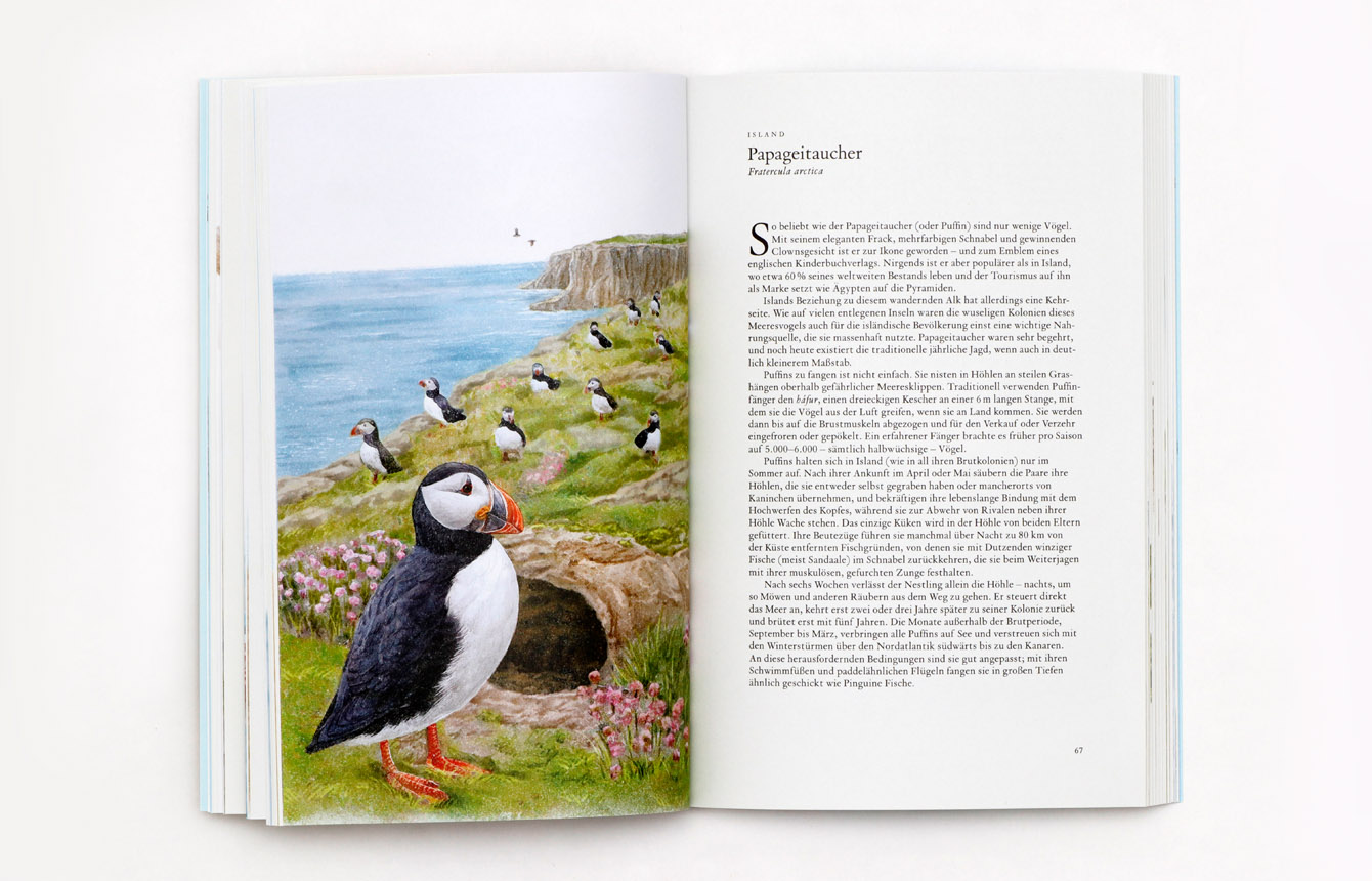 9783962443474_produktbild_07 9783962443474_produktbild_07.jpg