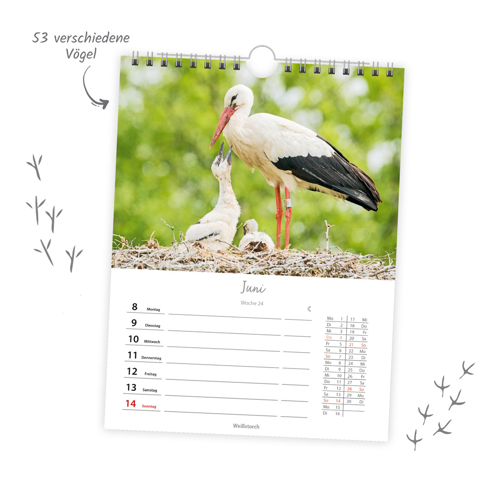 9783988024374_innenansicht_03 9783988024374_innenansicht_03.jpg