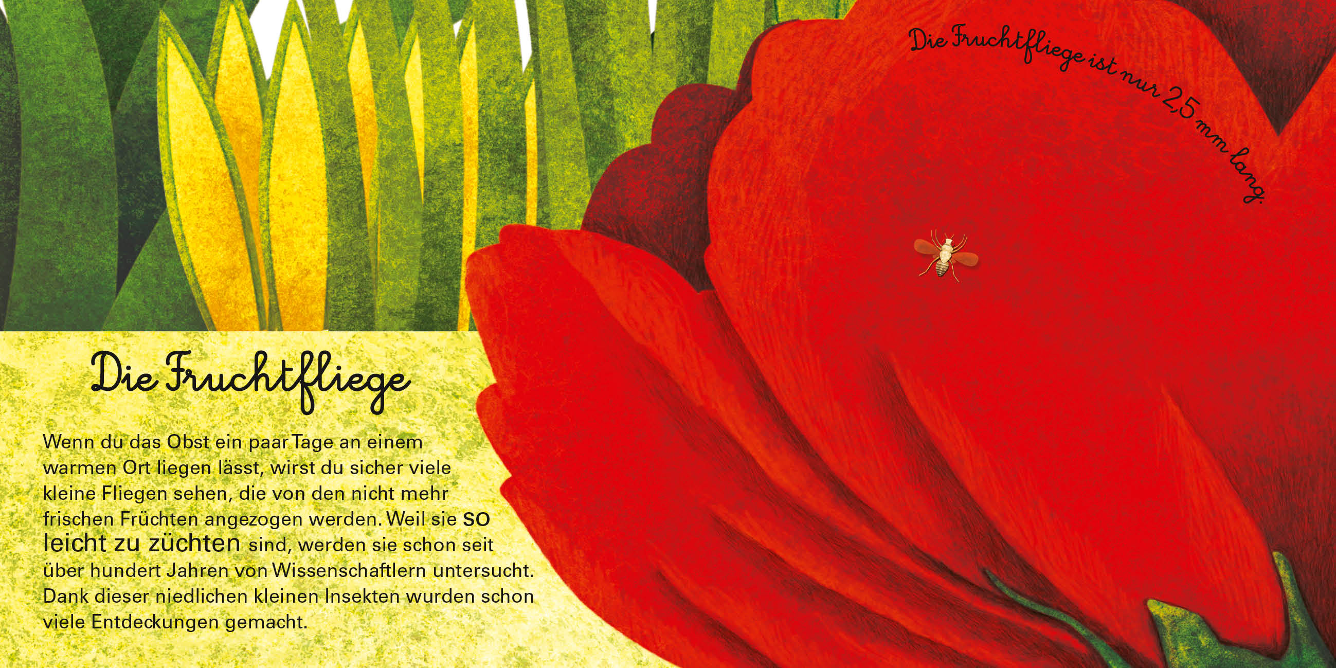 9788863125597_innenansicht_09 9788863125597_innenansicht_09.jpg