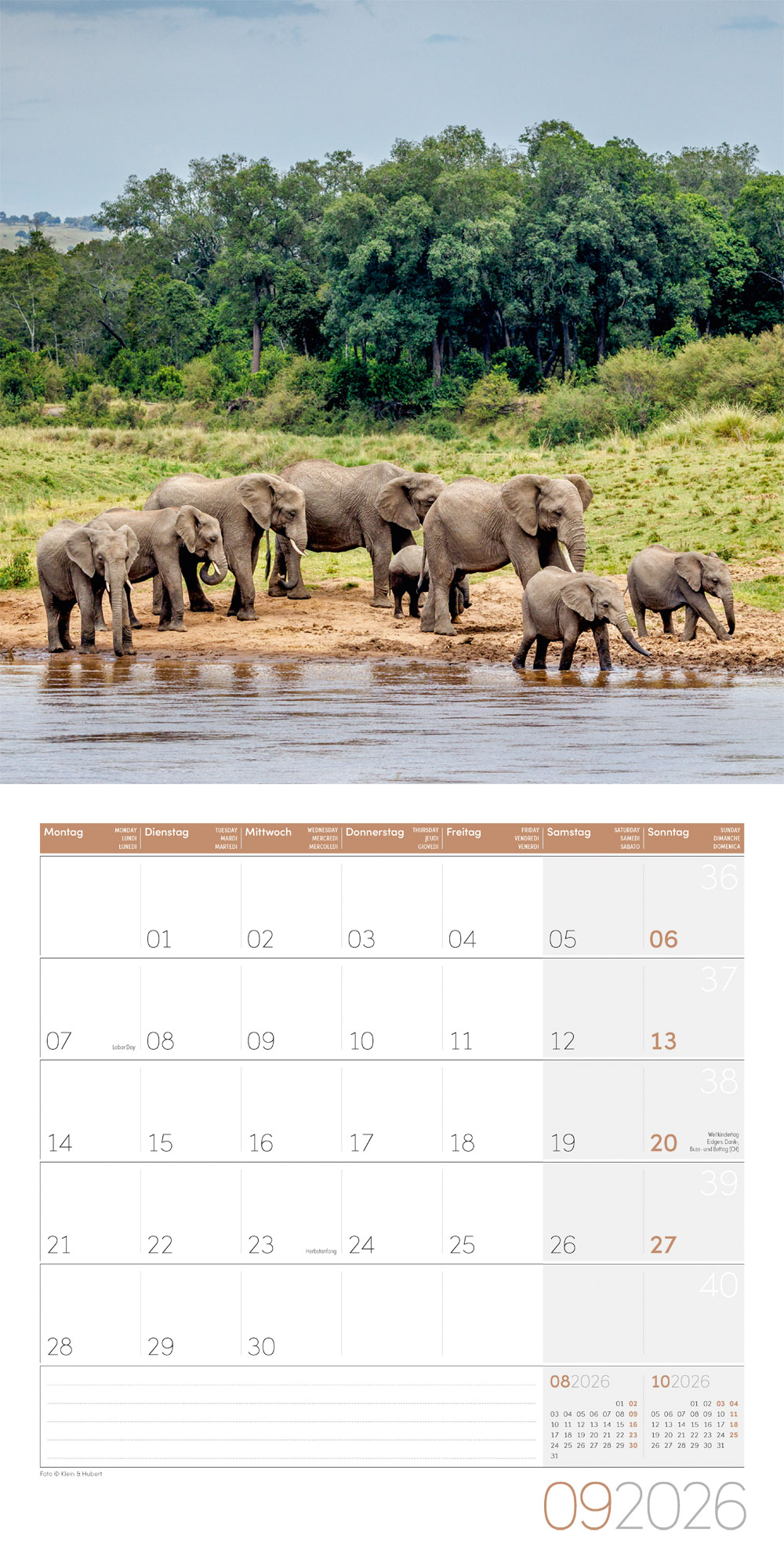 9783838446288_innenansicht_09 9783838446288_innenansicht_09.jpg