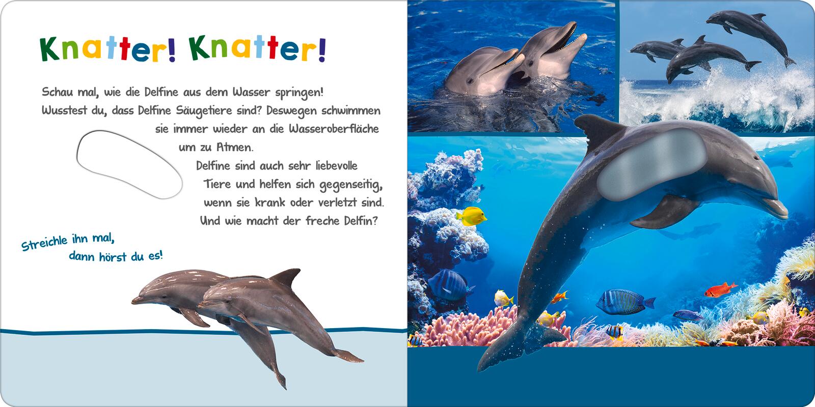 9783845855196_innenansicht_01.png
