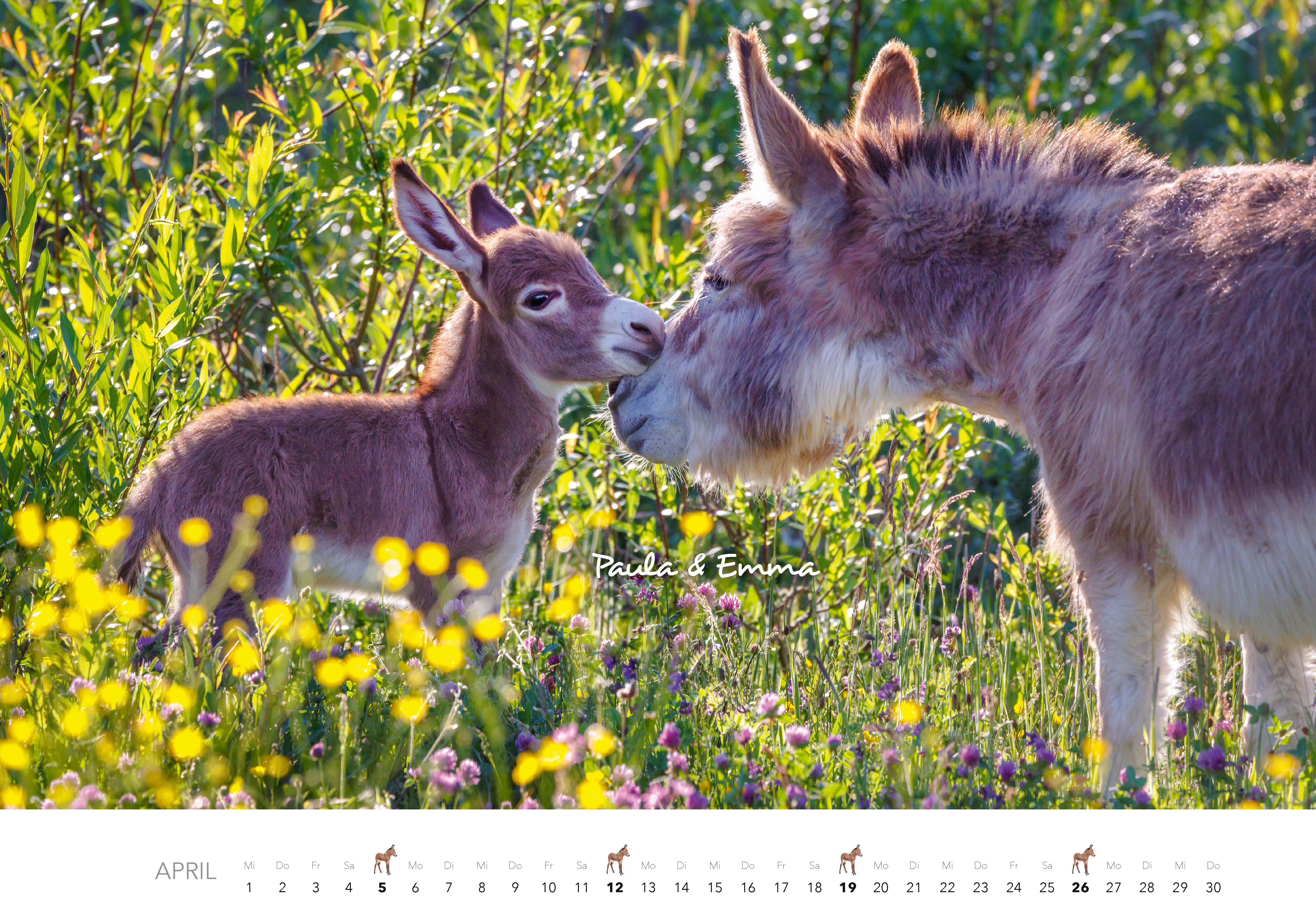 9783966649704_innenansicht_04 9783966649704_innenansicht_04.jpg