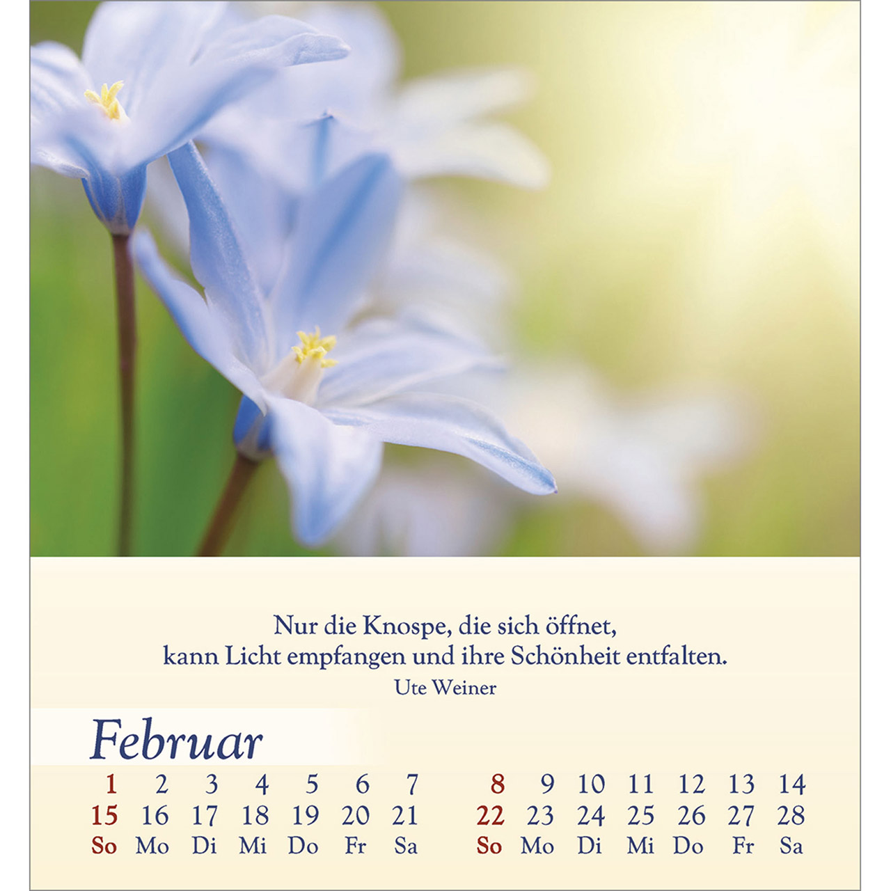 9783754834060_innenansicht_02 9783754834060_innenansicht_02.jpg