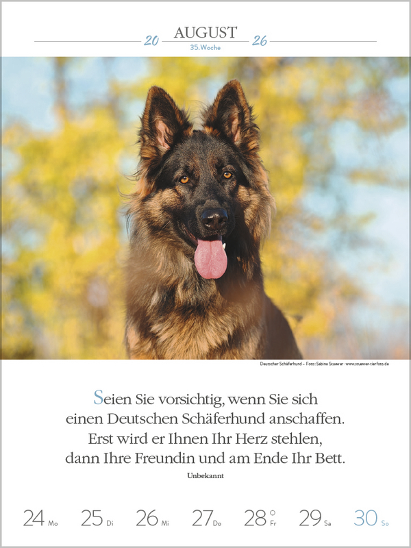 9783731884392_innenansicht_06.jpg