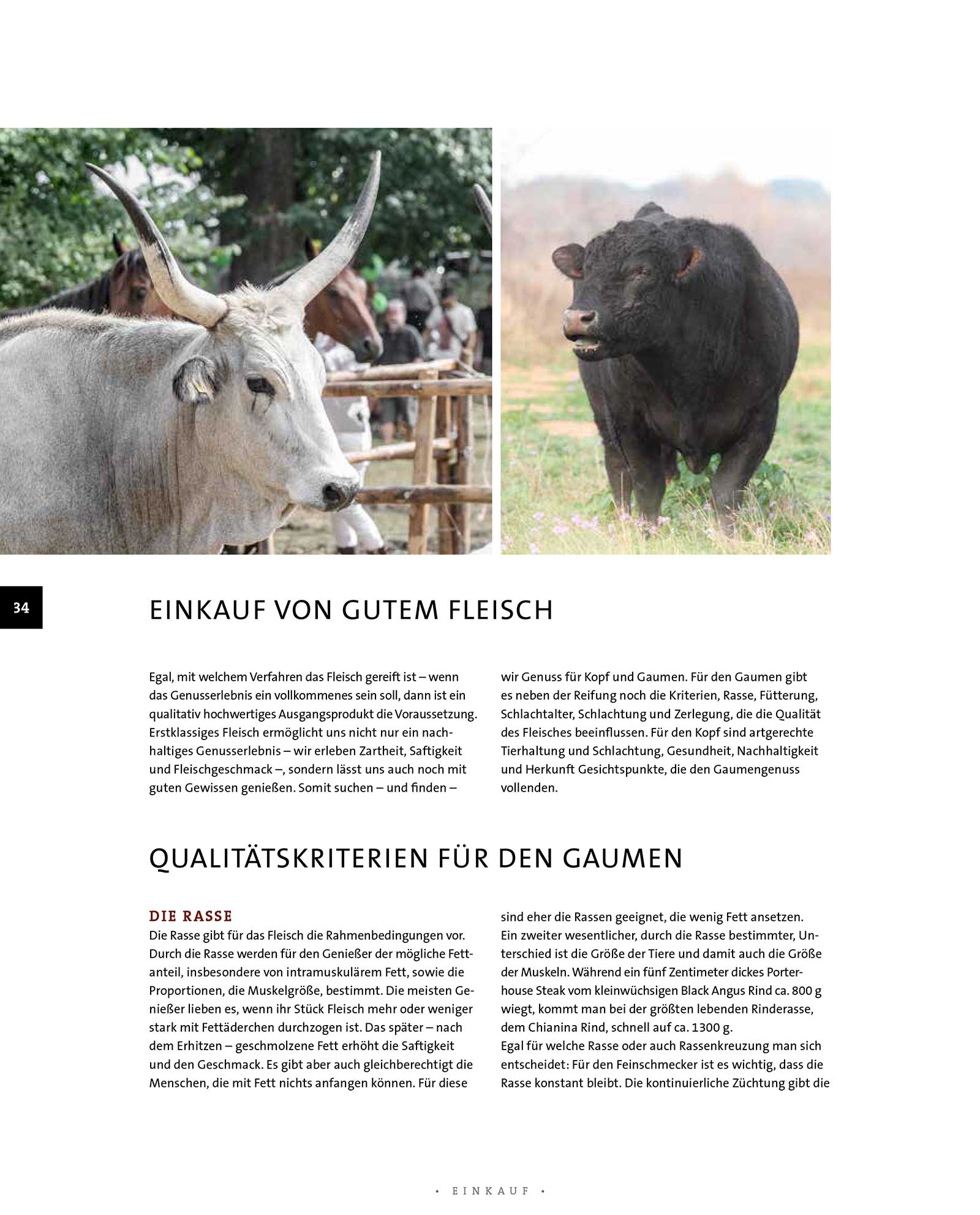 9783958431560_innenansicht_03 9783958431560_innenansicht_03.jpg