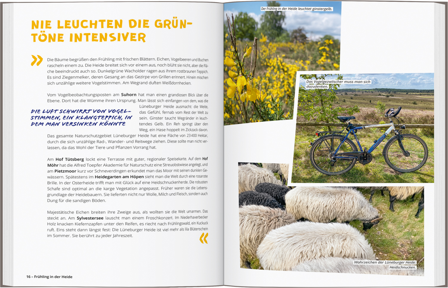 9783616032788_innenansicht_06.jpg