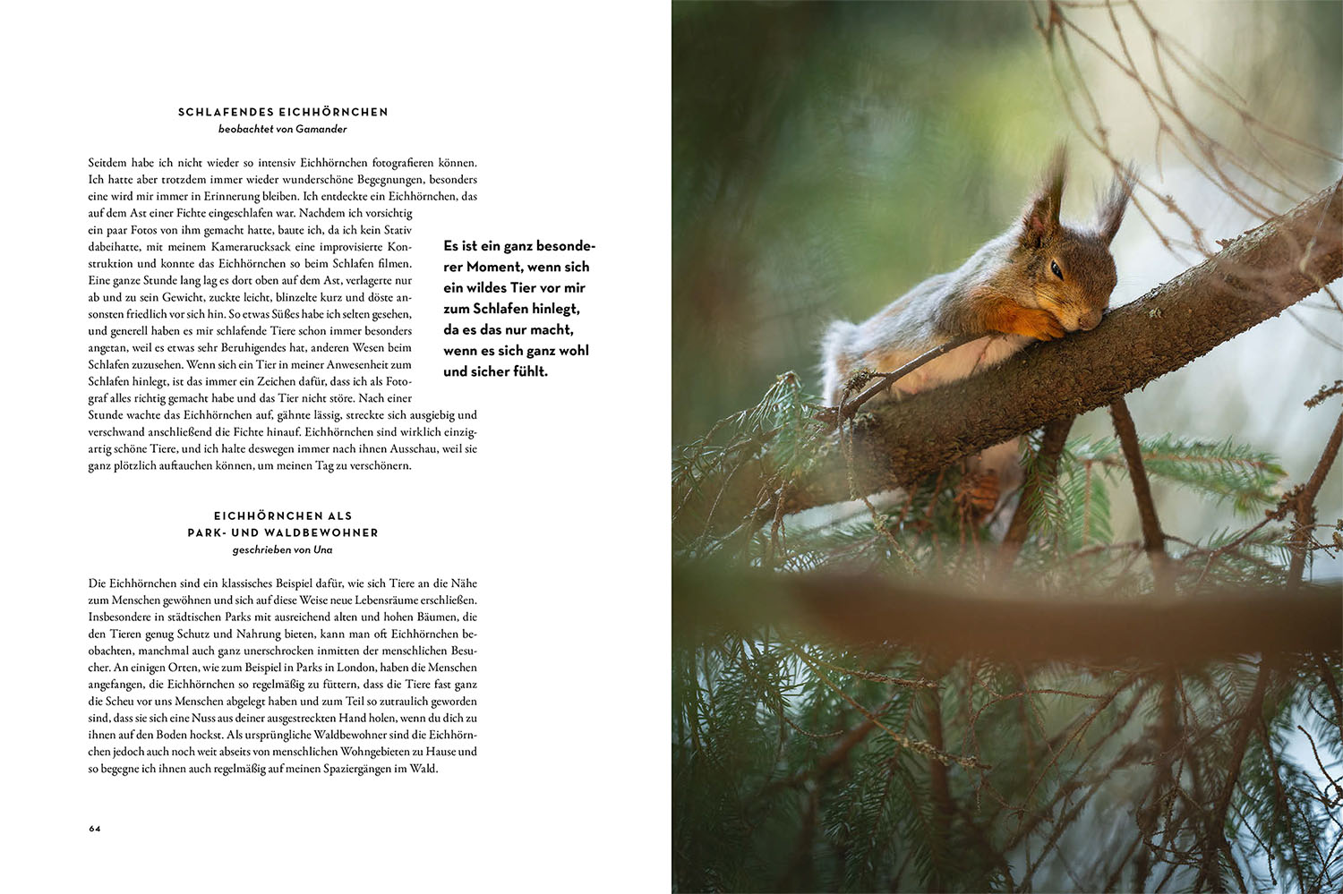 9783440178768_innenansicht_03 9783440178768_innenansicht_03.jpg