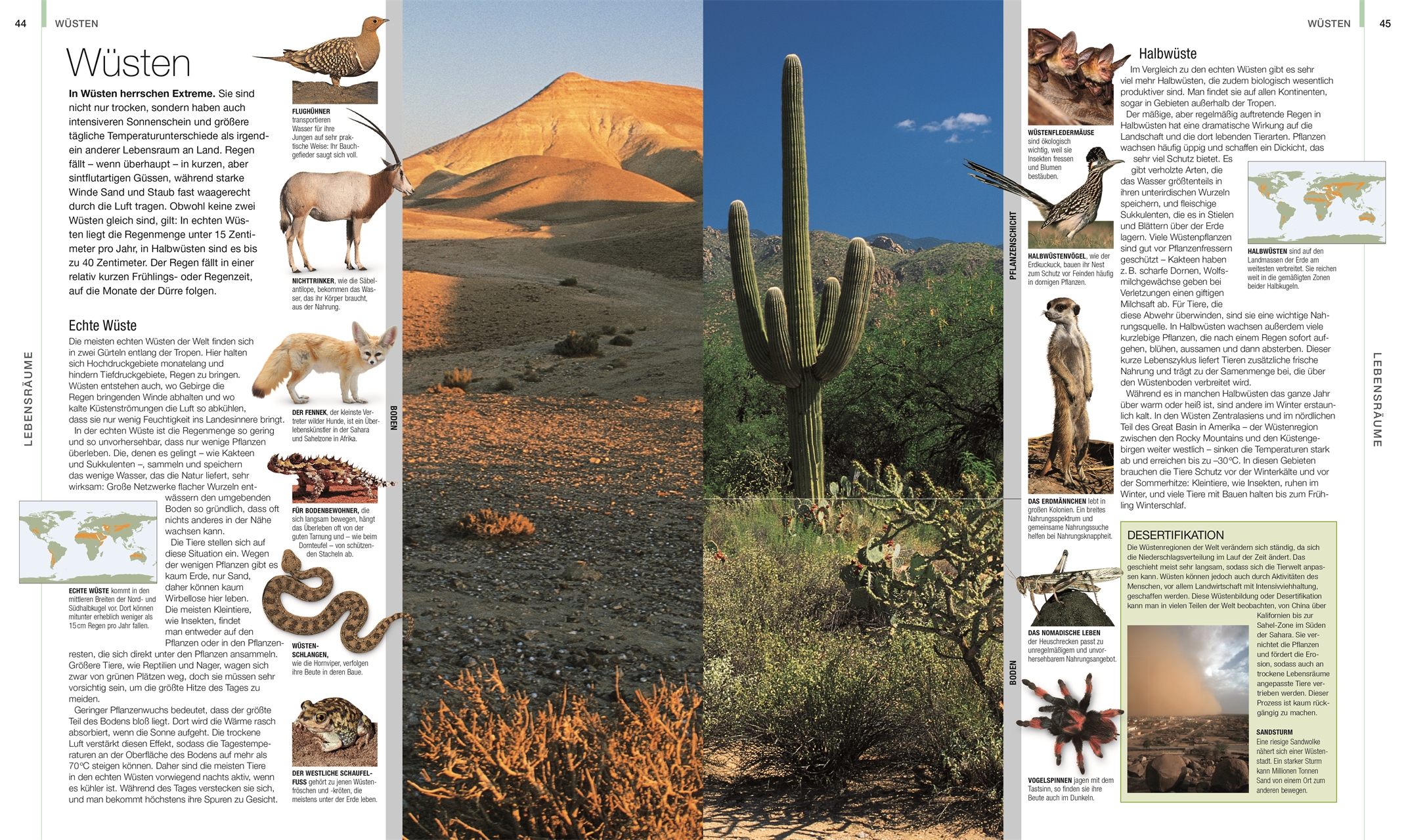 9783831048489_innenansicht_05 9783831048489_innenansicht_05.jpg