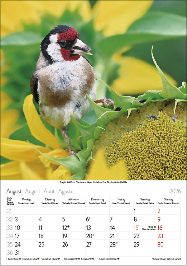 9783731883647_innenansicht_08 9783731883647_innenansicht_08.jpg