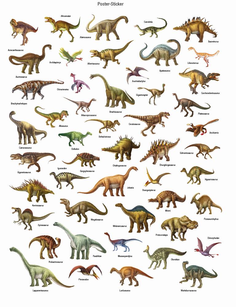 9783833246456_innenansicht_01 9783833246456_innenansicht_01.jpg