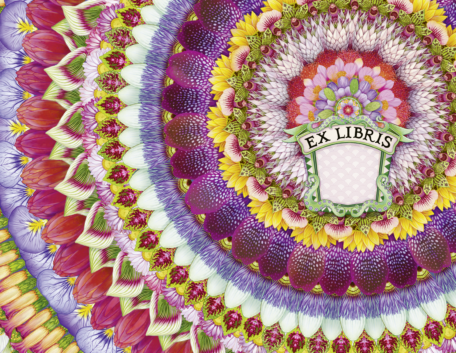 9783949465192_innenansicht_03 9783949465192_innenansicht_03.png