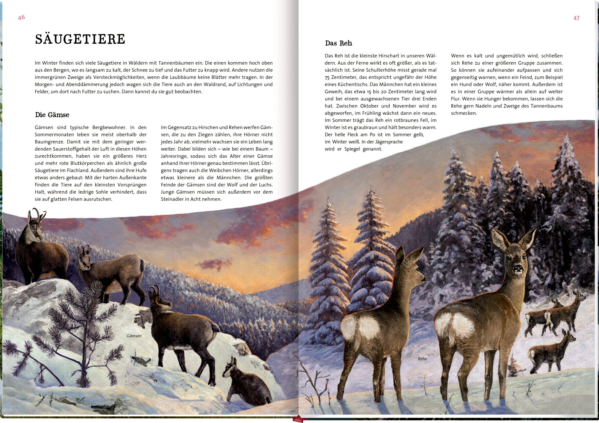 9783649647973_innenansicht_06 9783649647973_innenansicht_06.jpg